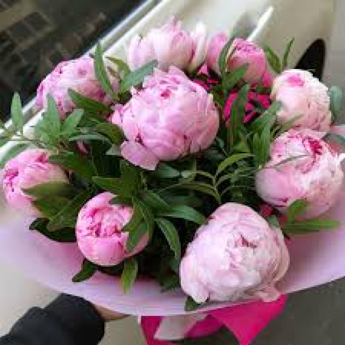 Пион древовидный в Жетысае