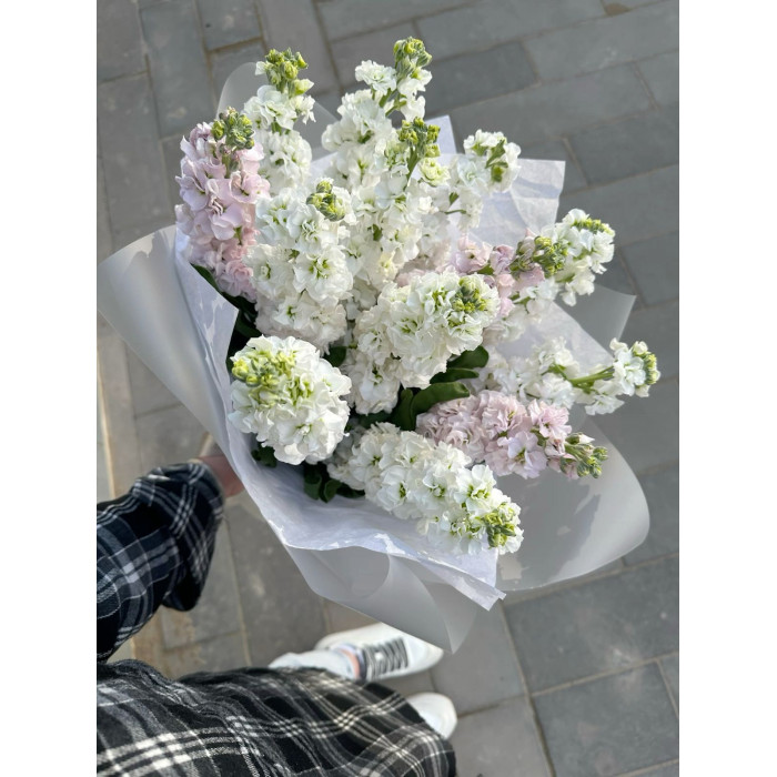 Маттиола в Жетысае