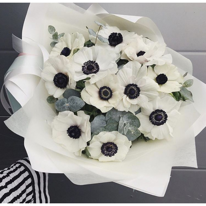 Анемоны в Жетысае