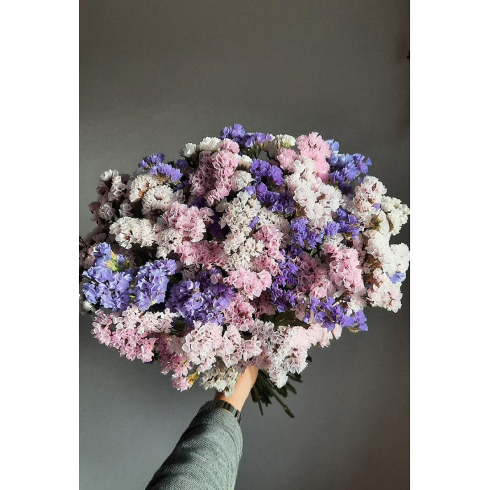 Статица (Лимониум) в Жетысае