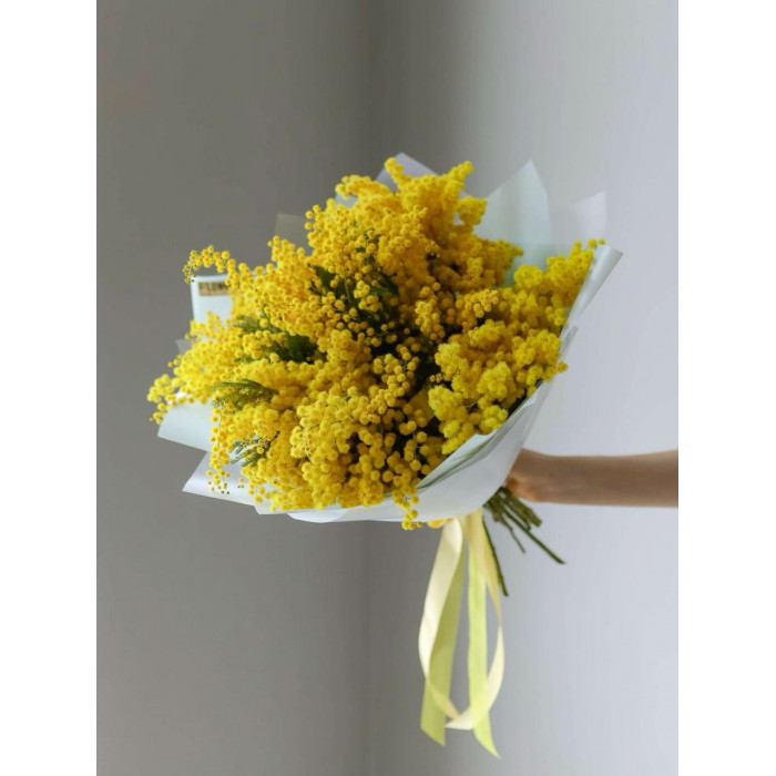 Мимоза в Жетысае