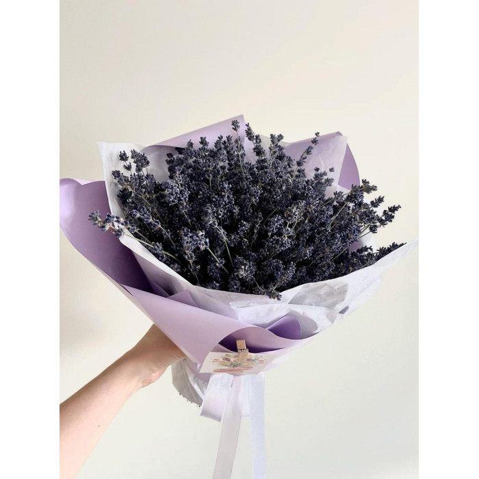 Лаванда в Жетысае