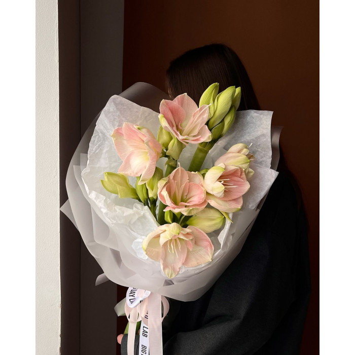 Амариллис в Жетысае