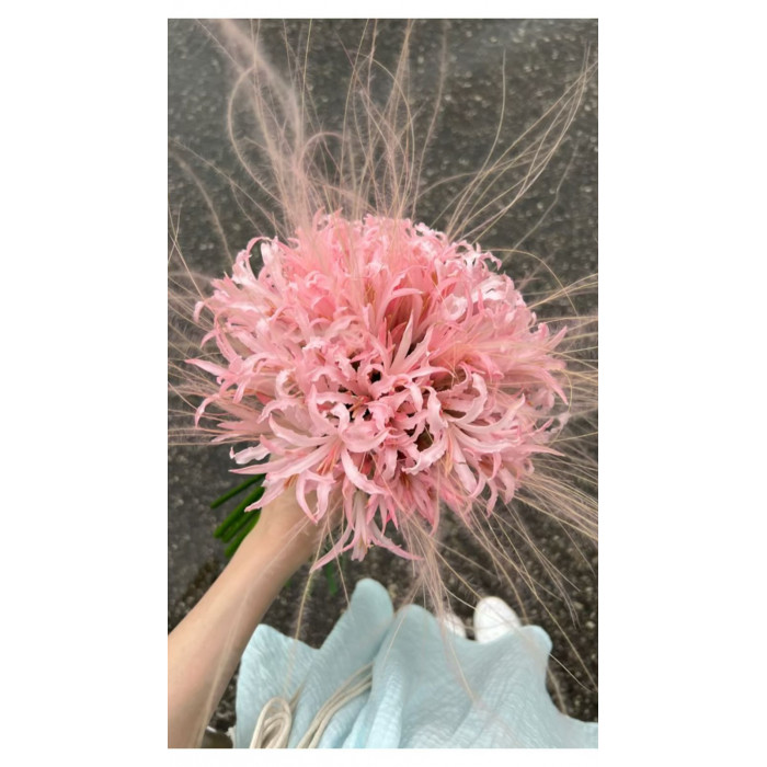 Нерине в Жетысае