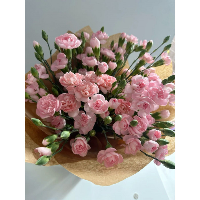 Кустовые гвоздики в Жетысае