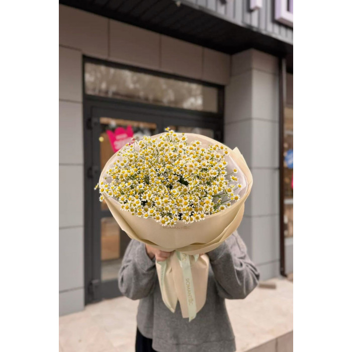 Танацетум в Жетысае